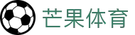 芒果体育|顶胜体育 - (中国)石嘴山芒果体育科技有限责任公司欢迎您